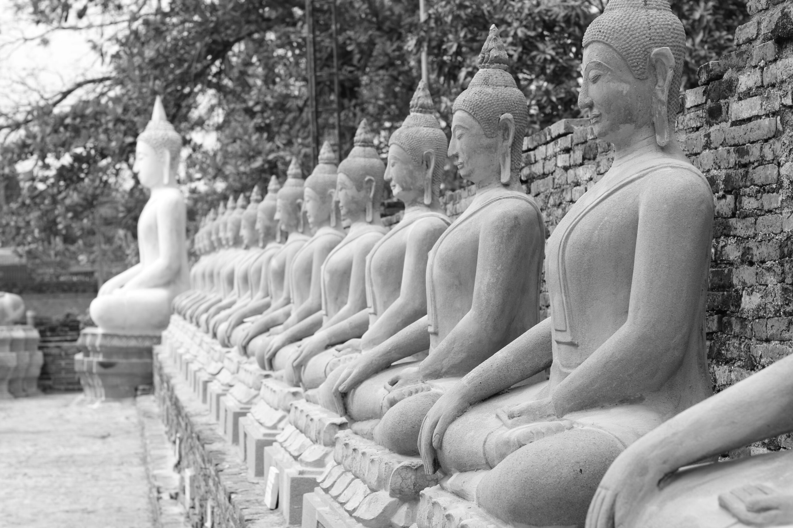 row of buddha statues